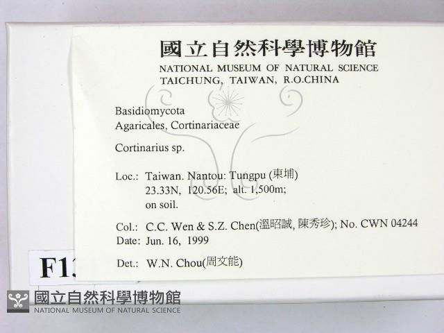 登錄號:F0013174藏品圖，第2張