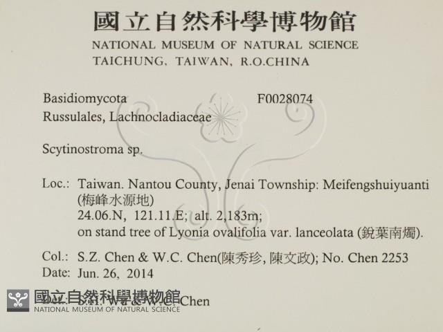 登錄號:F0028074藏品圖，第2張