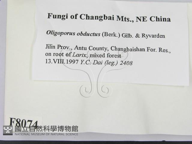 登錄號:F0008074藏品圖，第2張