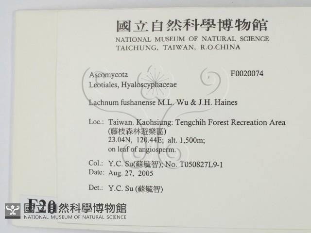 登錄號:F0020074藏品圖，第2張