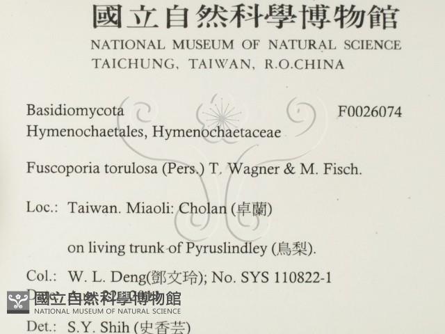 登錄號:F0026074藏品圖，第2張