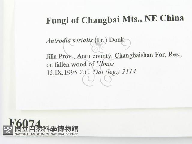 登錄號:F0006074藏品圖，第2張