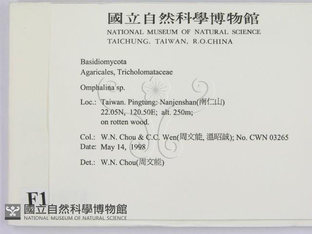 登錄號:F0011074藏品圖，第2張