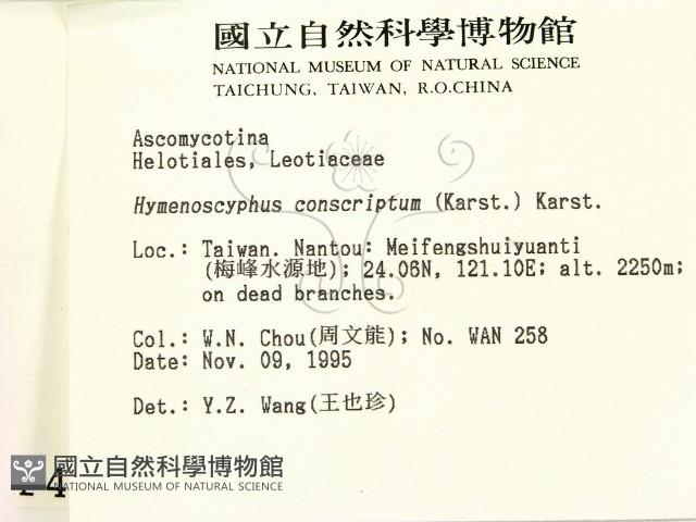 登錄號:F0004074藏品圖，第2張