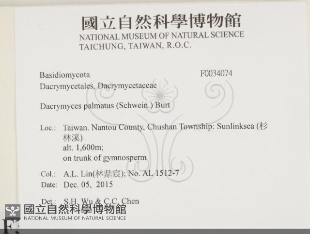 登錄號:F0034074藏品圖，第2張