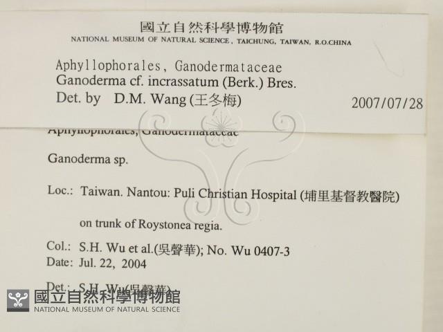 登錄號:F0017074藏品圖，第2張