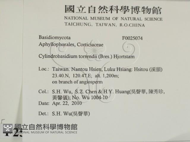 登錄號:F0025074藏品圖，第2張