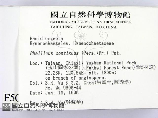 登錄號:F0005074藏品圖，第2張