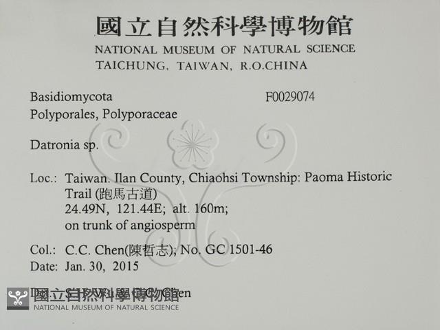 登錄號:F0029074藏品圖，第2張