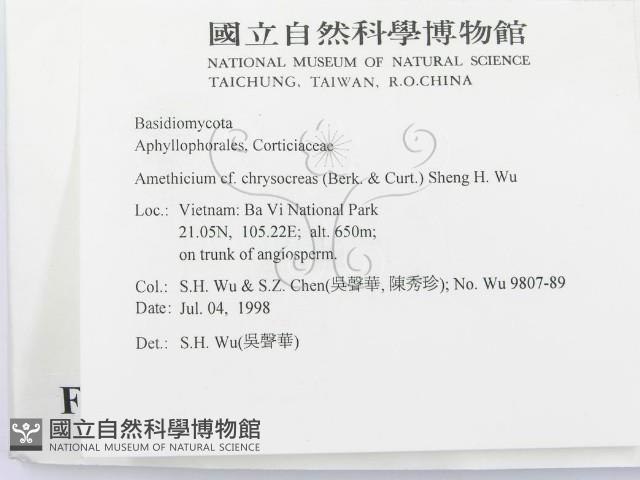 登錄號:F0009074藏品圖，第2張