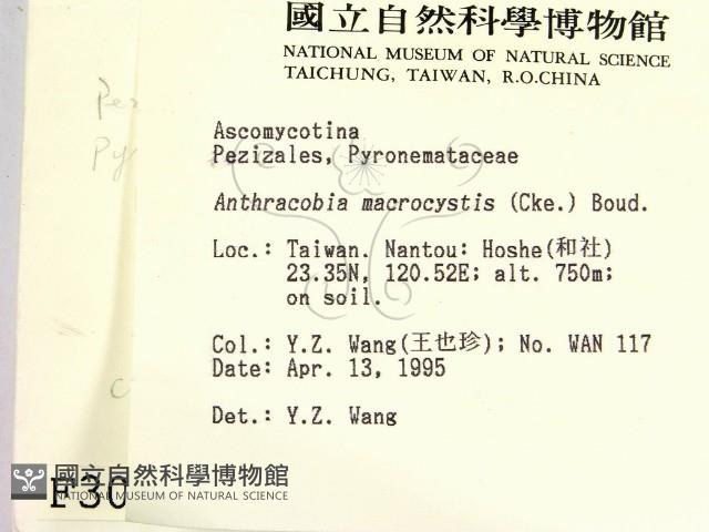 登錄號:F0003074藏品圖，第2張