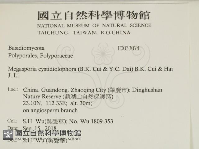 登錄號:F0033074藏品圖，第2張