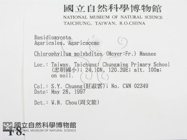 登錄號:F0008374藏品圖，第2張