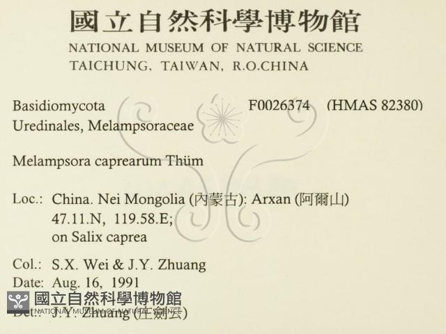 登錄號:F0026374藏品圖，第2張