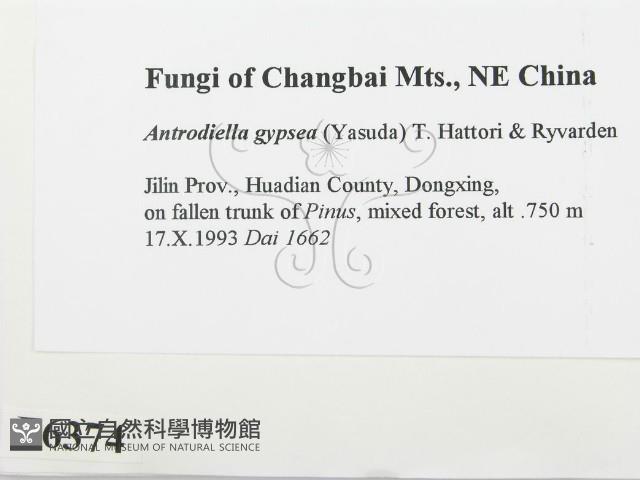 登錄號:F0006374藏品圖，第2張