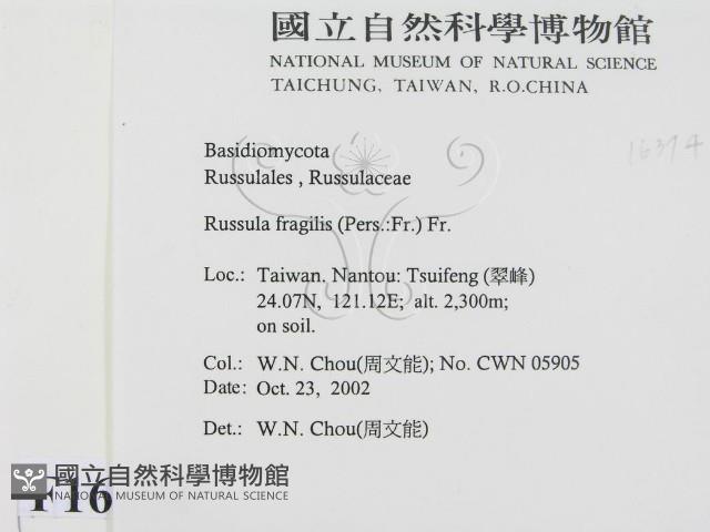 登錄號:F0016374藏品圖，第2張