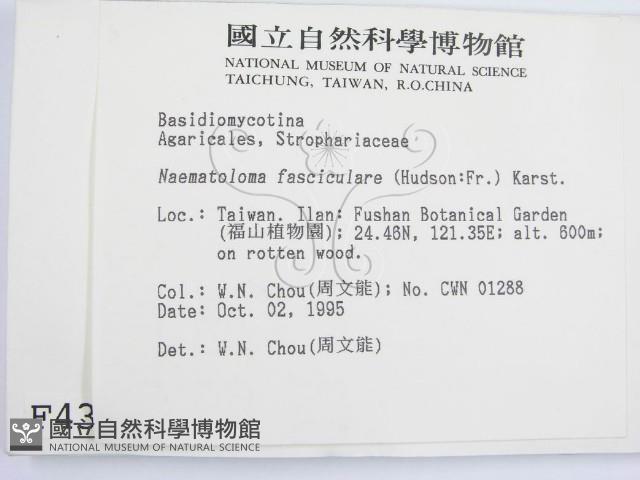 登錄號:F0004374藏品圖，第2張