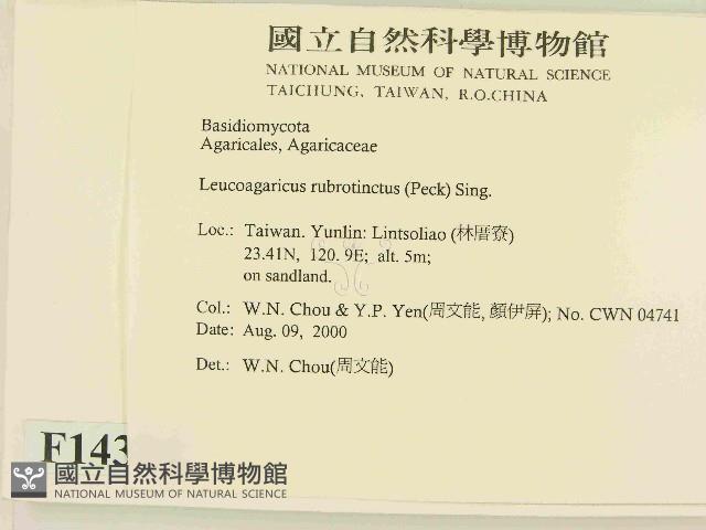 登錄號:F0014374藏品圖，第2張