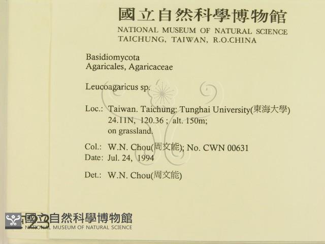 登錄號:F0002374藏品圖，第2張