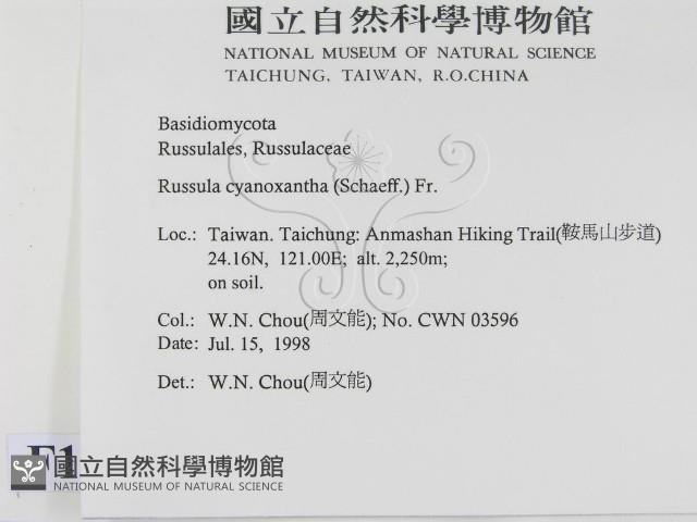 登錄號:F0012374藏品圖，第2張