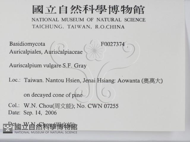 Accession Number:F0027374 Collection Image, Figure 2, Total 3 Figures