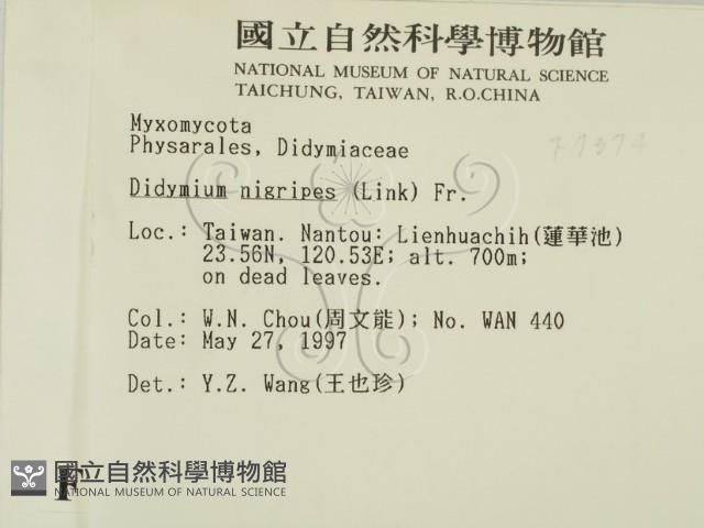 登錄號:F0007374藏品圖，第2張