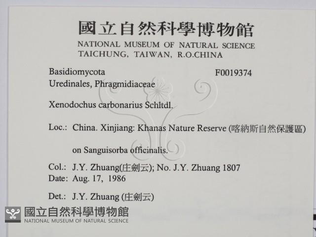 登錄號:F0019374藏品圖，第2張