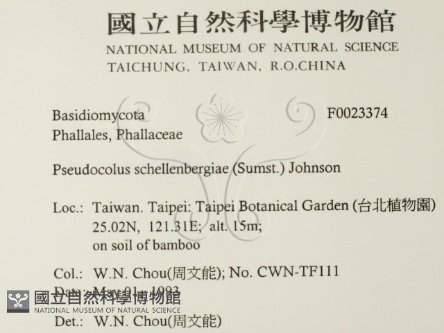 登錄號:F0023374藏品圖，第2張