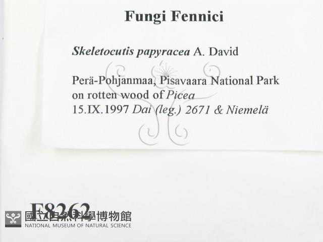 登錄號:F0008262藏品圖，第2張