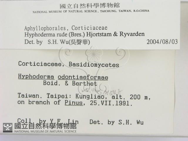 登錄號:F0000262藏品圖，第2張