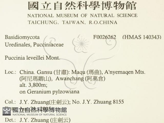 登錄號:F0026262藏品圖，第2張