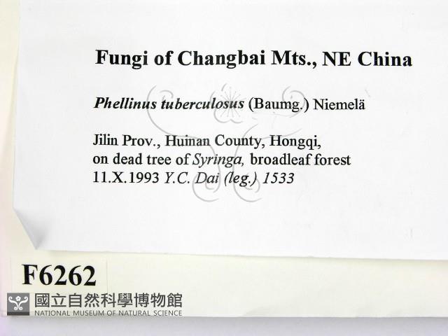 登錄號:F0006262藏品圖，第2張