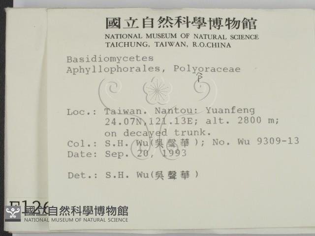 登錄號:F0001262藏品圖，第2張