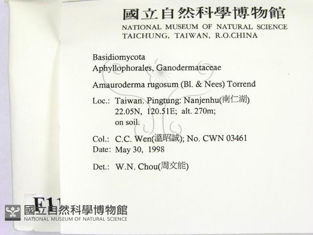 登錄號:F0011262藏品圖，第2張