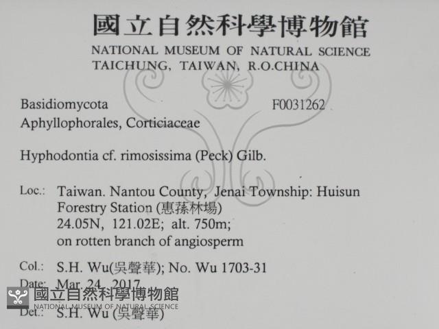 登錄號:F0031262藏品圖，第2張