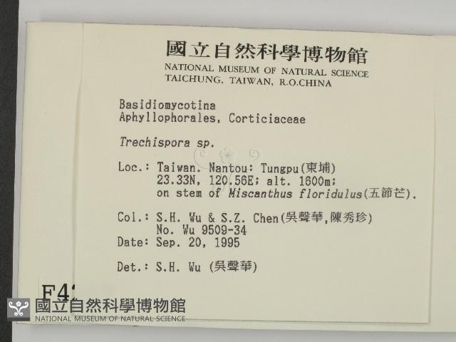 粗糙孢菌屬藏品圖，第2張