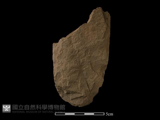 斧鋤形器藏品圖，第1張