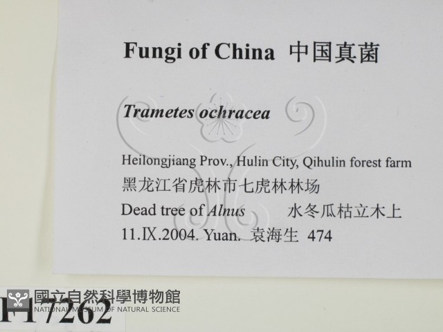 登錄號:F0017262藏品圖，第2張