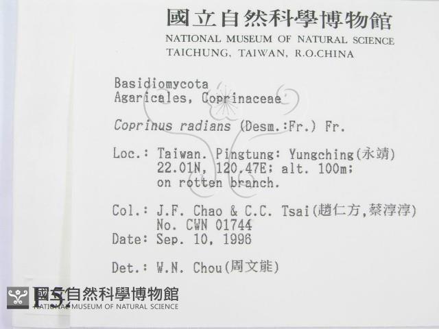 登錄號:F0005262藏品圖，第2張