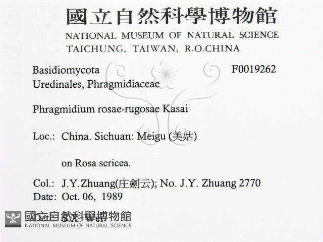 登錄號:F0019262藏品圖，第2張