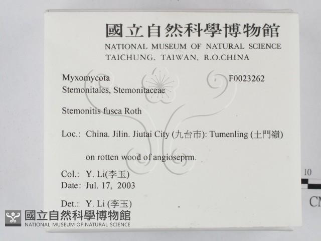 登錄號:F0023262藏品圖，第2張