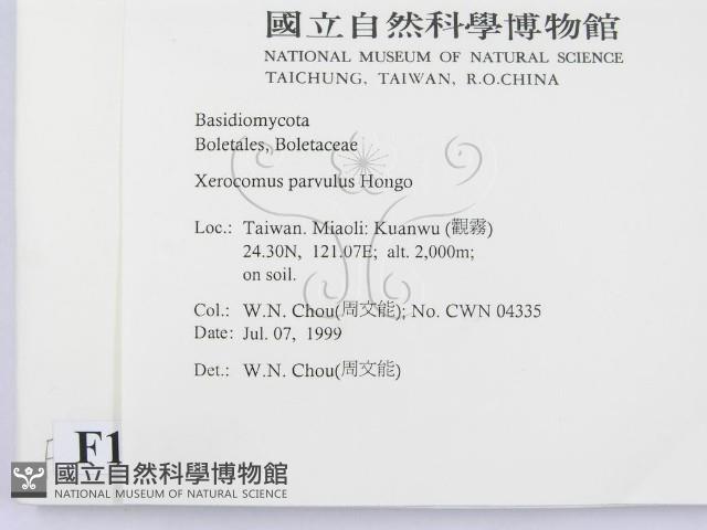 登錄號:F0013262藏品圖，第2張