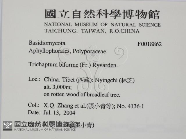 登錄號:F0018862藏品圖，第2張