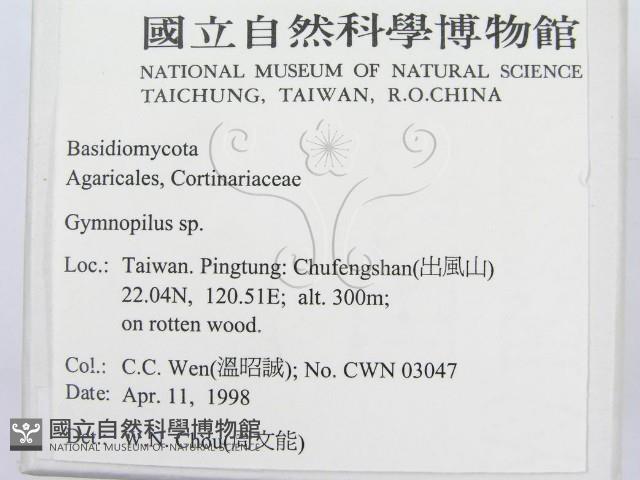 登錄號:F0010862藏品圖，第2張