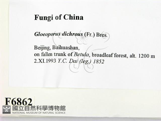 登錄號:F0006862藏品圖，第2張