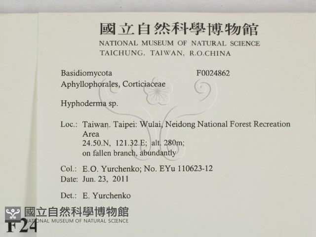 絲皮菌屬藏品圖，第2張