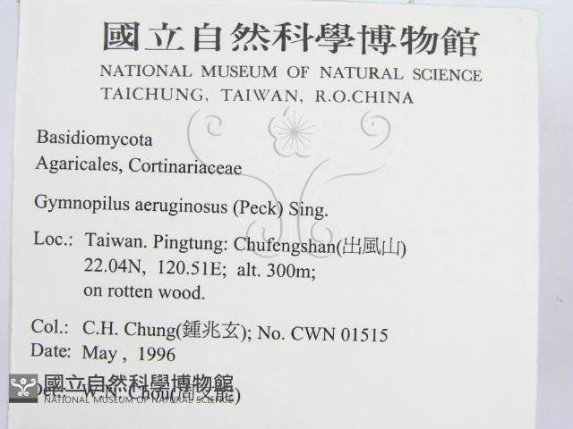 登錄號:F0004862藏品圖，第2張