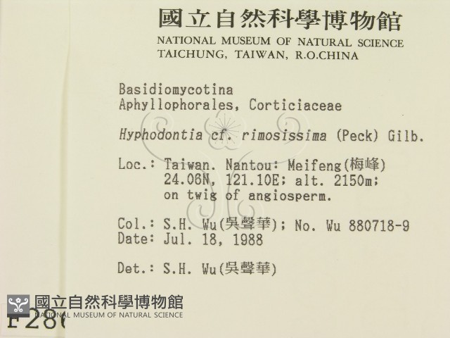 登錄號:F0002862藏品圖，第2張