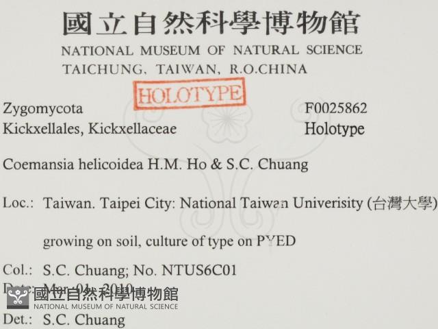 登錄號:F0025862藏品圖，第2張