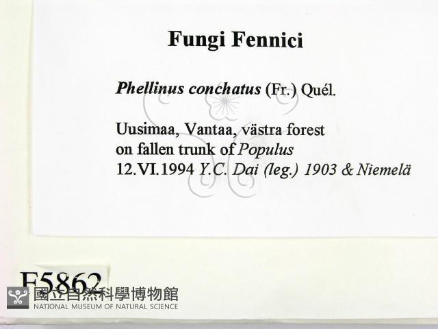 登錄號:F0005862藏品圖，第2張